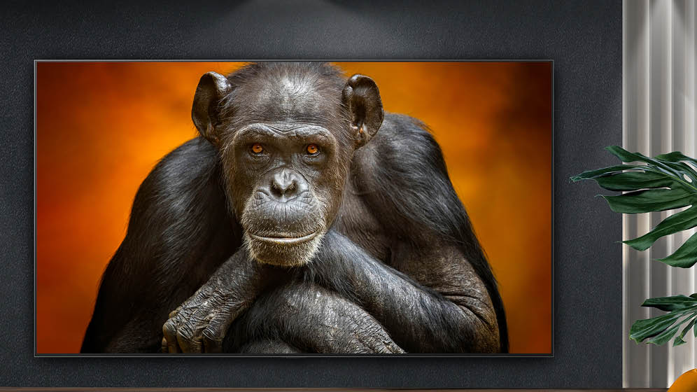 Luxury living room interior with modern leather armchairs and wide shine TV cabinet. Wall mounted 75 inch TV. Luxury interior concept. 3d rendering.